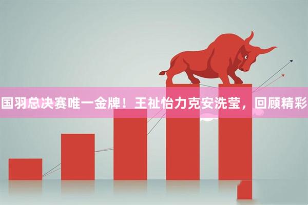 国羽总决赛唯一金牌！王祉怡力克安洗莹，回顾精彩