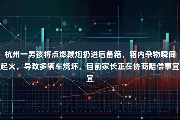 杭州一男孩将点燃鞭炮扔进后备箱，箱内杂物瞬间起火，导致多辆车烧坏，目前家长正在协商赔偿事宜
